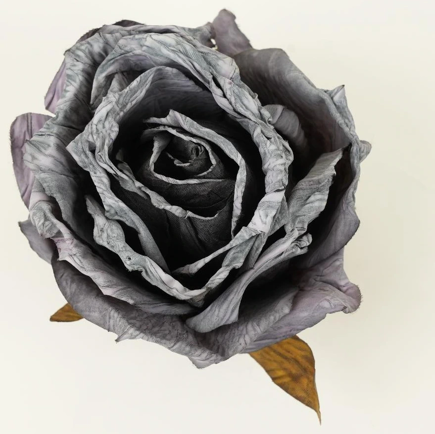 Witted Rose Head